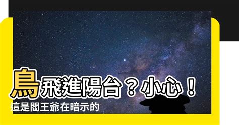 鳥飛到陽台|【鳥飛進陽台】鳥飛進陽台，預示好運還是厄運！？快點看！ – 葛。